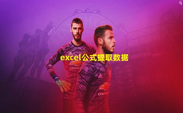 excel公式提取数据