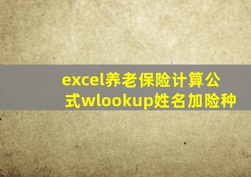excel养老保险计算公式wlookup姓名加险种