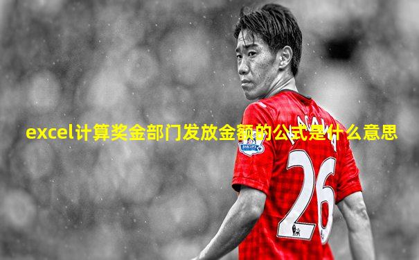 excel计算奖金部门发放金额的公式是什么意思