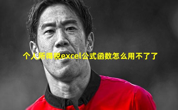 个人所得税excel公式函数怎么用不了了