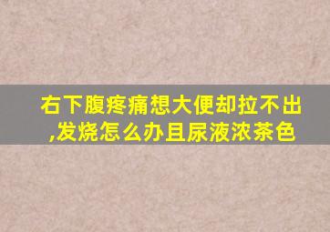 右下腹疼痛想大便却拉不出,发烧怎么办且尿液浓茶色