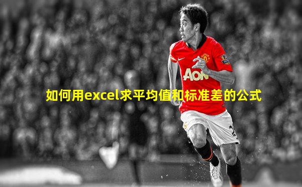 如何用excel求平均值和标准差的公式