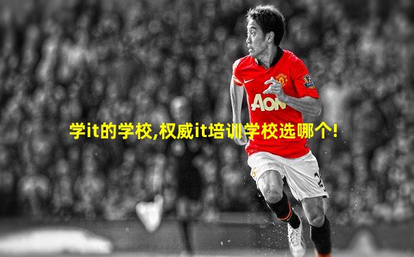 学it的学校,权威it培训学校选哪个!