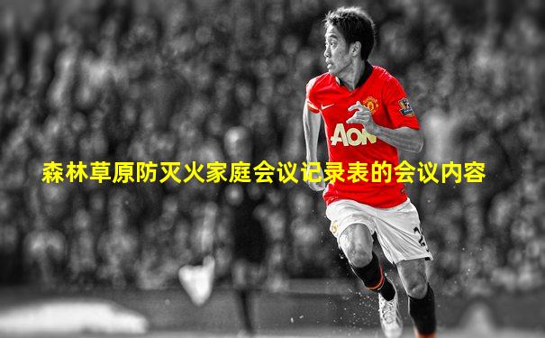 森林草原防灭火家庭会议记录表的会议内容