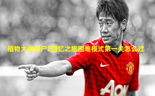 植物大战僵尸2回忆之旅困难模式第一关怎么过