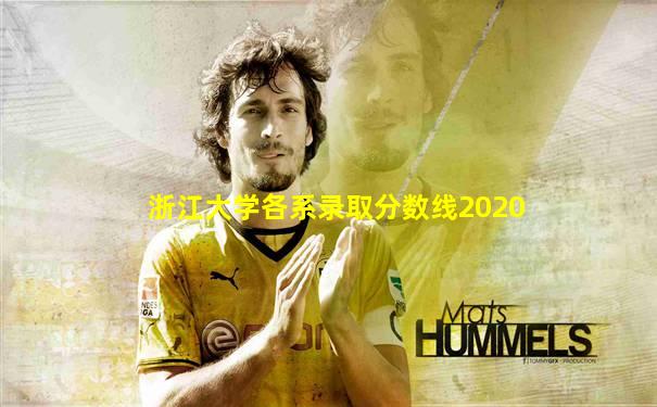 浙江大学各系录取分数线2020