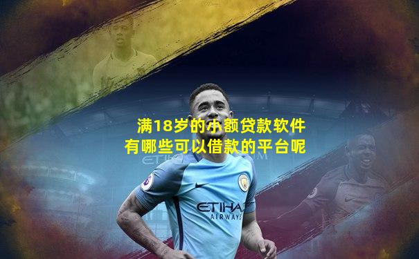 满18岁的小额贷款软件有哪些可以借款的平台呢