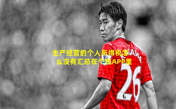 生产经营的个人所得税怎么没有汇总在个税APP里