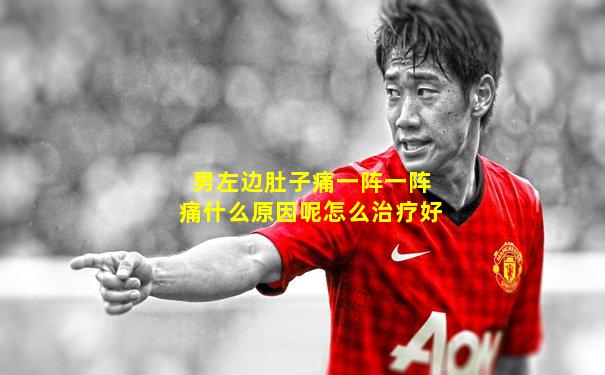 男左边肚子痛一阵一阵痛什么原因呢怎么治疗好