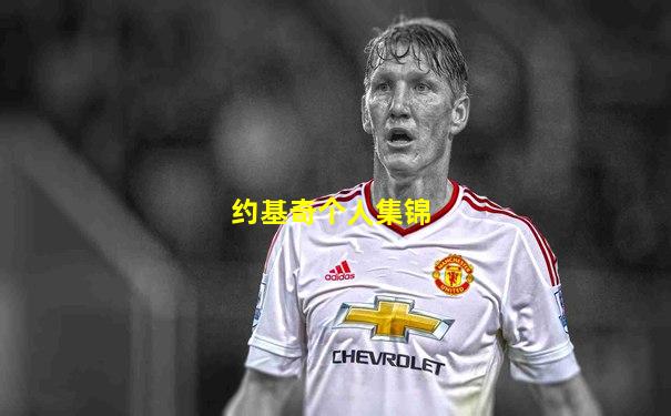 约基奇个人集锦