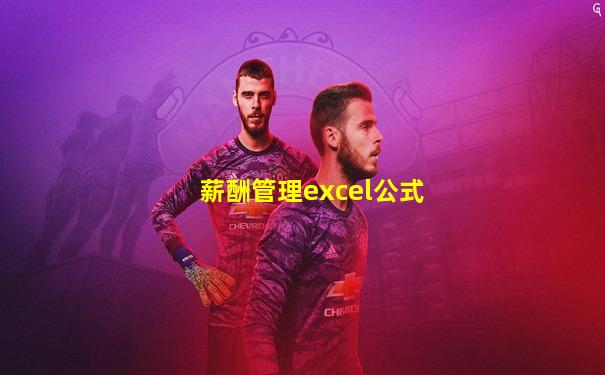 薪酬管理excel公式