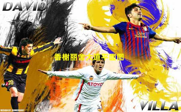 香榭丽舍大道平面图