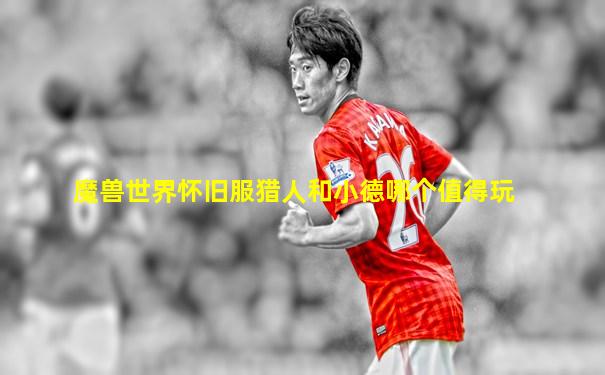 魔兽世界怀旧服猎人和小德哪个值得玩