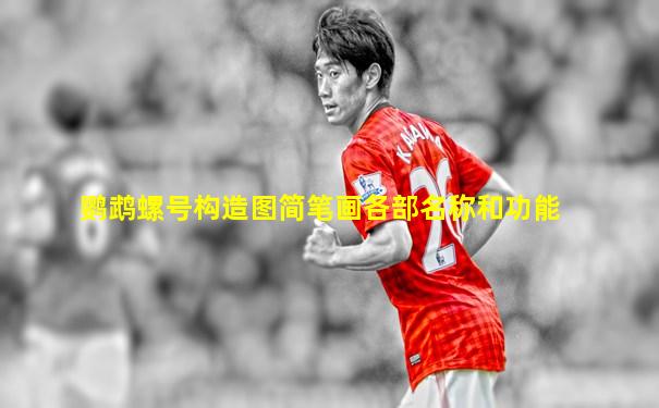 鹦鹉螺号构造图简笔画各部名称和功能
