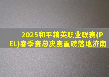 2025和平精英职业联赛(PEL)春季赛总决赛重磅落地济南