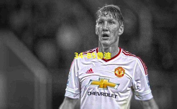 34-85鲁迪