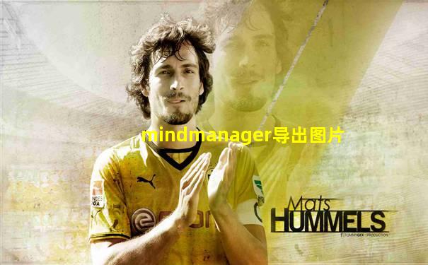 mindmanager导出图片
