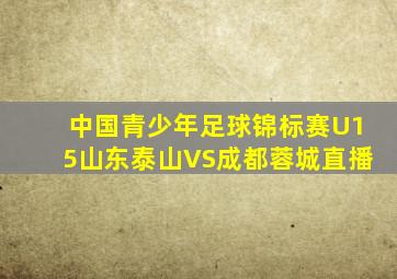 中国青少年足球锦标赛U15山东泰山VS成都蓉城直播