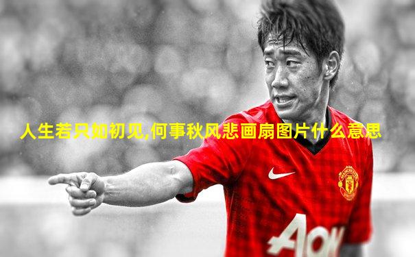 人生若只如初见,何事秋风悲画扇图片什么意思