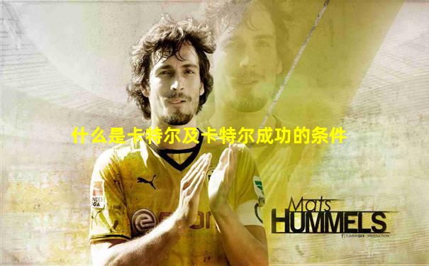 什么是卡特尔及卡特尔成功的条件