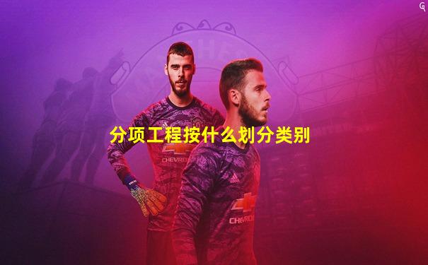 分项工程按什么划分类别