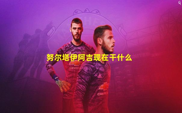 努尔塔伊阿吉现在干什么