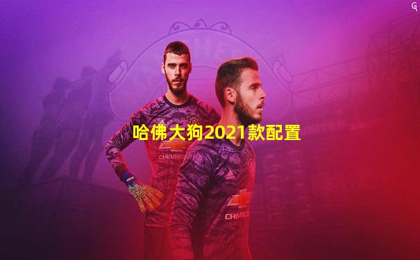 哈佛大狗2021款配置