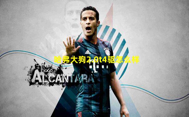 哈弗大狗2.0t4驱怎么样
