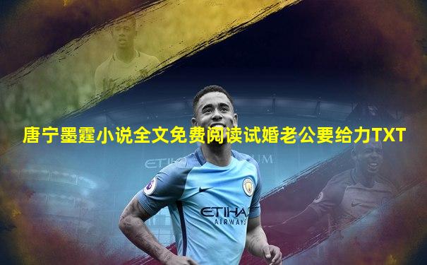 唐宁墨霆小说全文免费阅读试婚老公要给力TXT