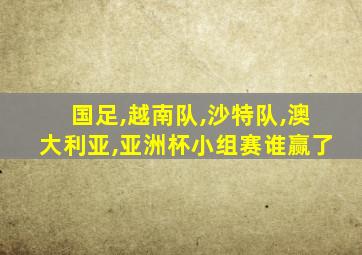 国足,越南队,沙特队,澳大利亚,亚洲杯小组赛谁赢了