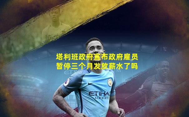 塔利班政府宣布政府雇员暂停三个月发放薪水了吗