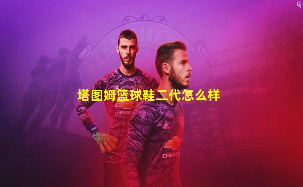 塔图姆篮球鞋二代怎么样