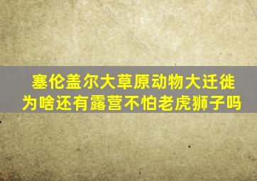 塞伦盖尔大草原动物大迁徙为啥还有露营不怕老虎狮子吗