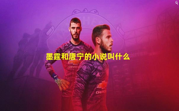 墨霆和唐宁的小说叫什么