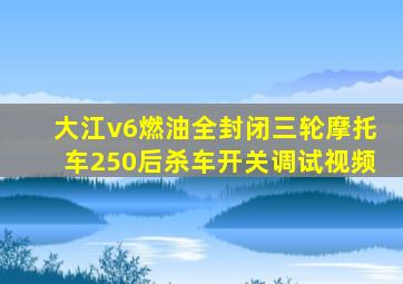 大江v6燃油全封闭三轮摩托车250后杀车开关调试视频