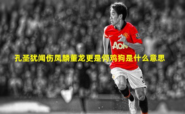 孔圣犹闻伤凤麟董龙更是何鸡狗是什么意思
