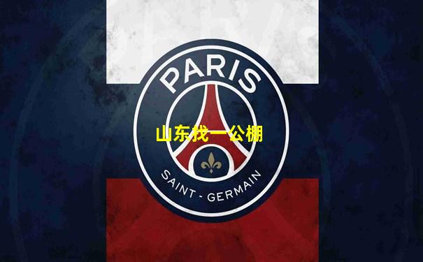 山东找一公棚