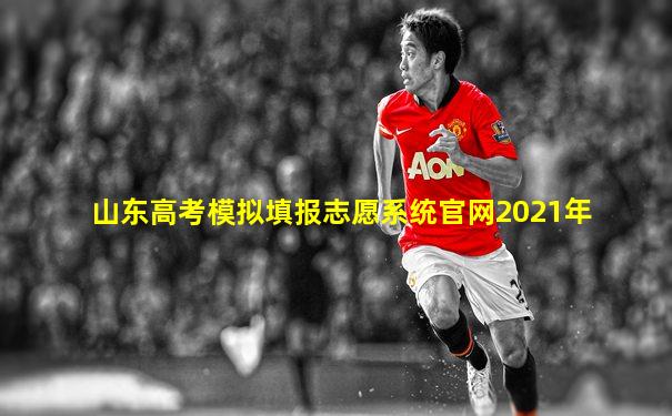 山东高考模拟填报志愿系统官网2021年