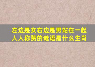 左边是女右边是男站在一起人人称赞的谜语是什么生肖
