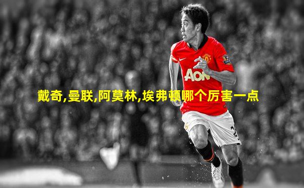 戴奇,曼联,阿莫林,埃弗顿哪个厉害一点