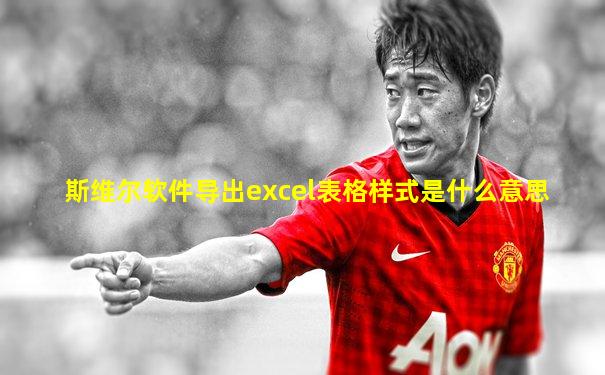 斯维尔软件导出excel表格样式是什么意思