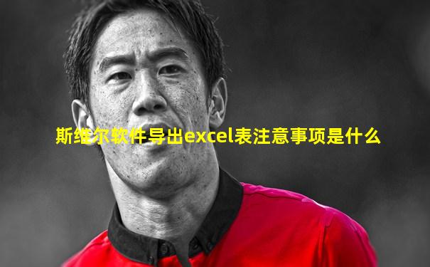 斯维尔软件导出excel表注意事项是什么