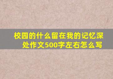校园的什么留在我的记忆深处作文500字左右怎么写