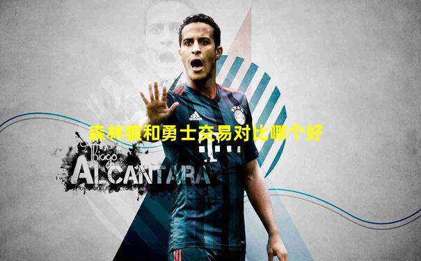 森林狼和勇士交易对比哪个好