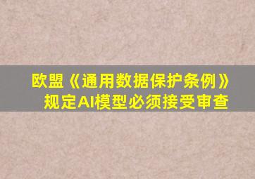 欧盟《通用数据保护条例》规定AI模型必须接受审查