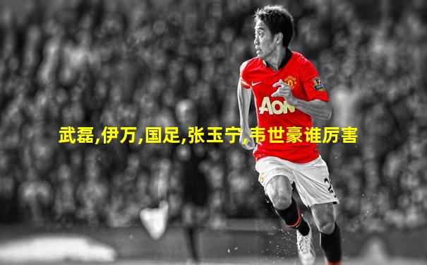 武磊,伊万,国足,张玉宁,韦世豪谁厉害