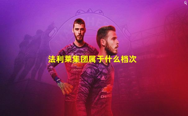 法利莱集团属于什么档次