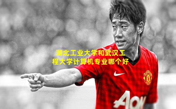 湖北工业大学和武汉工程大学计算机专业哪个好