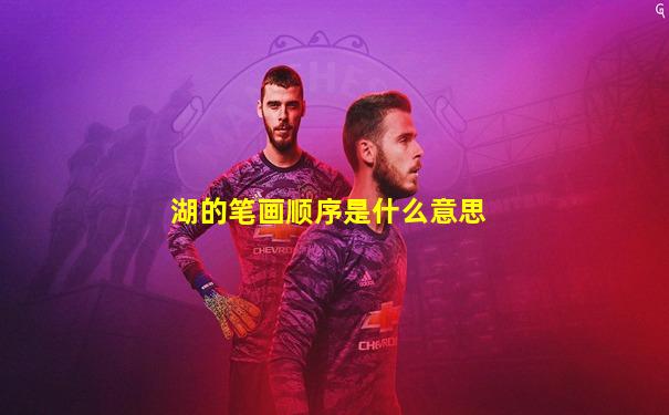 湖的笔画顺序是什么意思