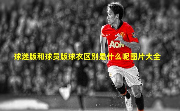 球迷版和球员版球衣区别是什么呢图片大全